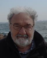 Bruno Viscolani